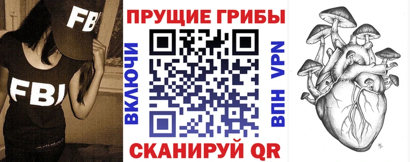 Псилоцибиновые грибы ЛСД  магазин продажи   darknet официальный сайт  Верхняя Пышма 
