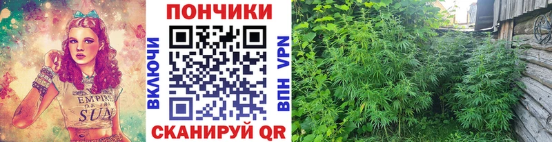 Марихуана ГИДРОПОН  Верхняя Пышма 